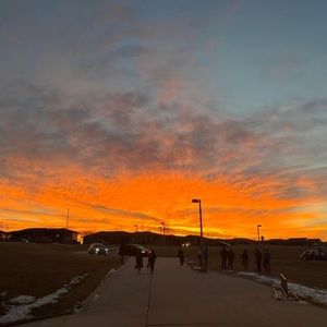 Meet your Posher, Carly